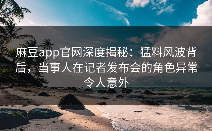 麻豆app官网深度揭秘：猛料风波背后，当事人在记者发布会的角色异常令人意外