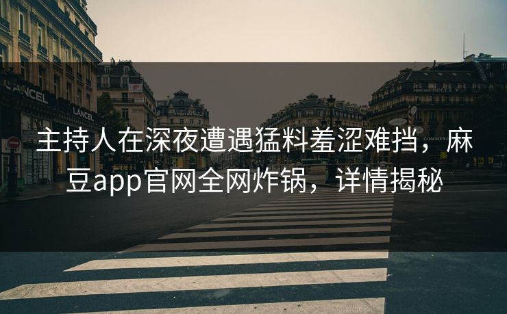 主持人在深夜遭遇猛料羞涩难挡，麻豆app官网全网炸锅，详情揭秘